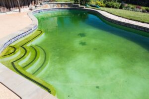 Swimming pool that has a green tinge to the water from algae build up.
